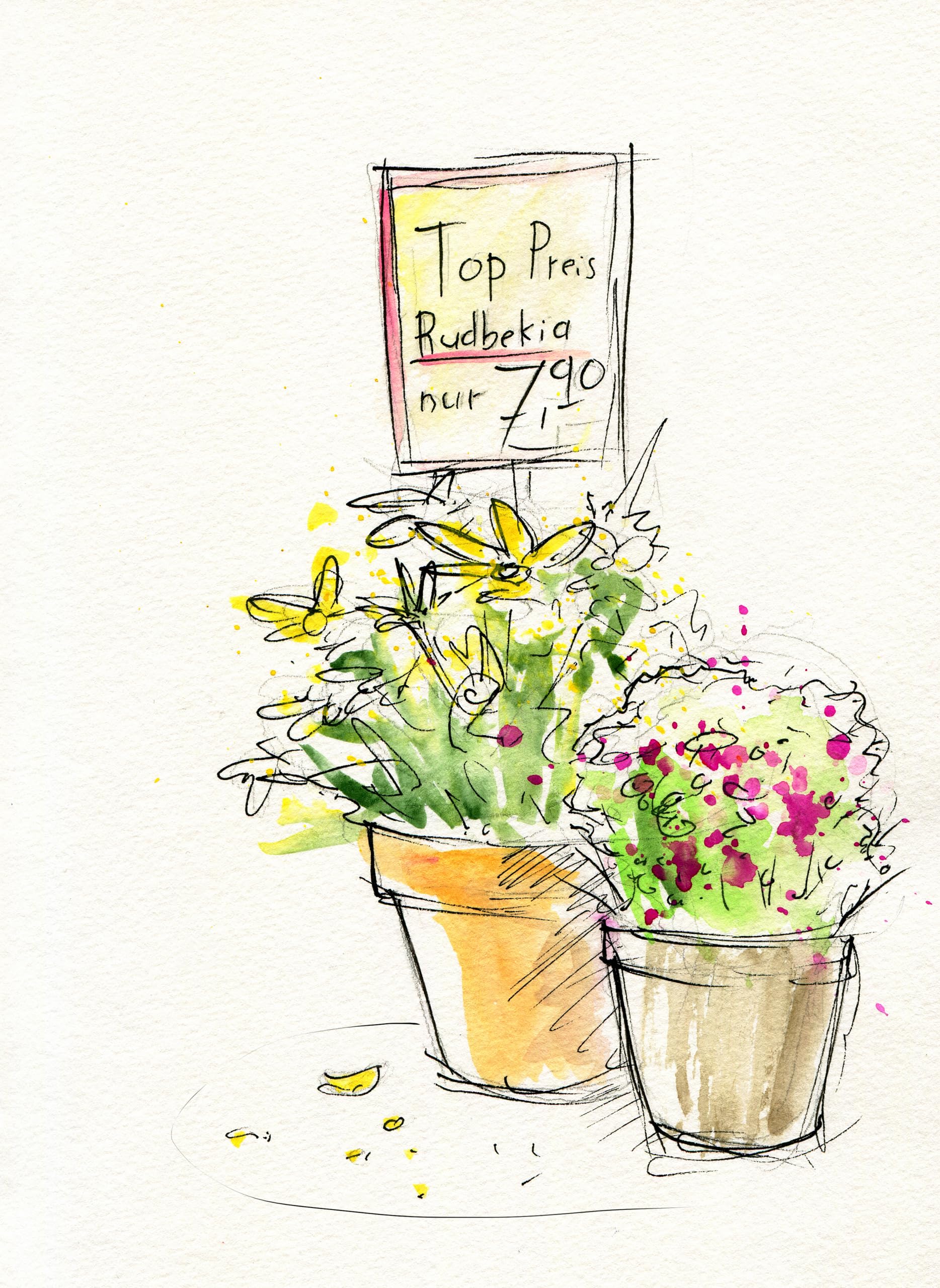 Faber-Castell Creative Studio Portable Watercolor Palette - 24 Water Colors In Half Pans with Travel Watercolor Brush, 24 Colors - Image 4