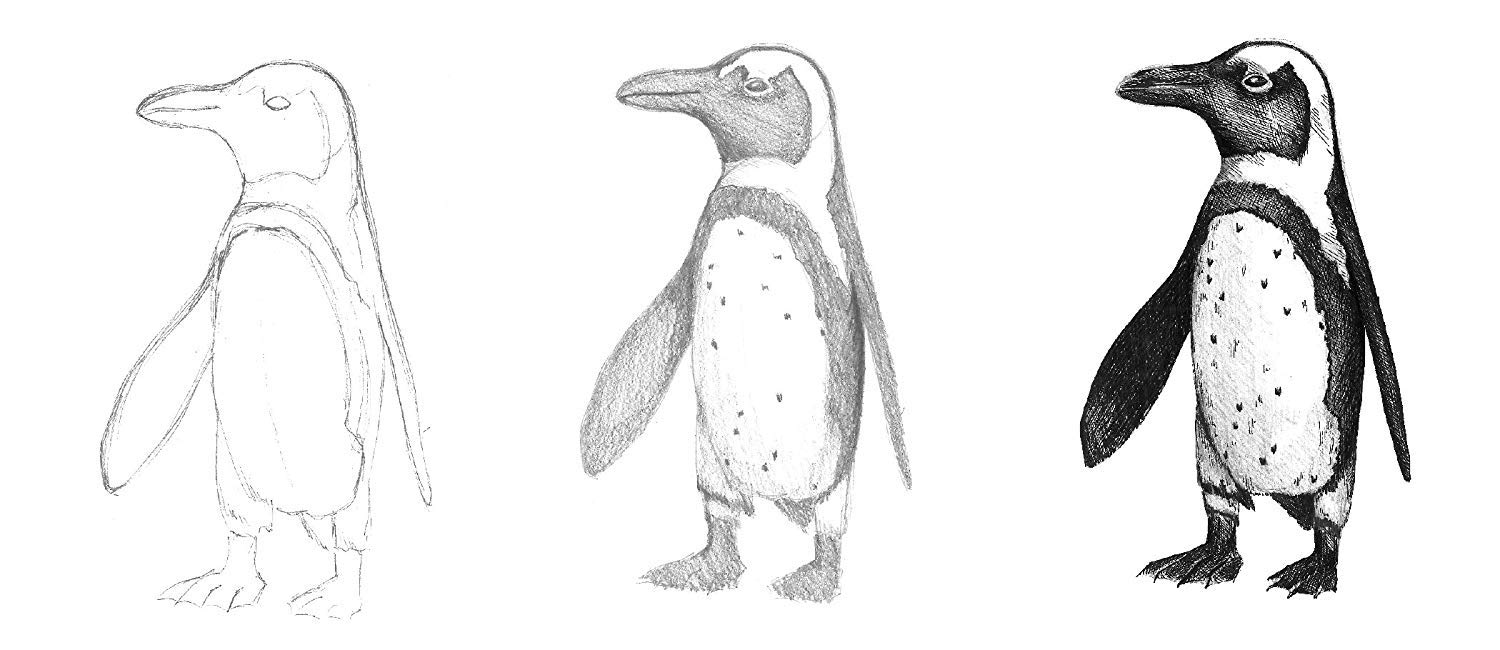 Faber-Castell - Do Art Drawing and Sketching Art Kit - Premium Kids Crafts - Image 3