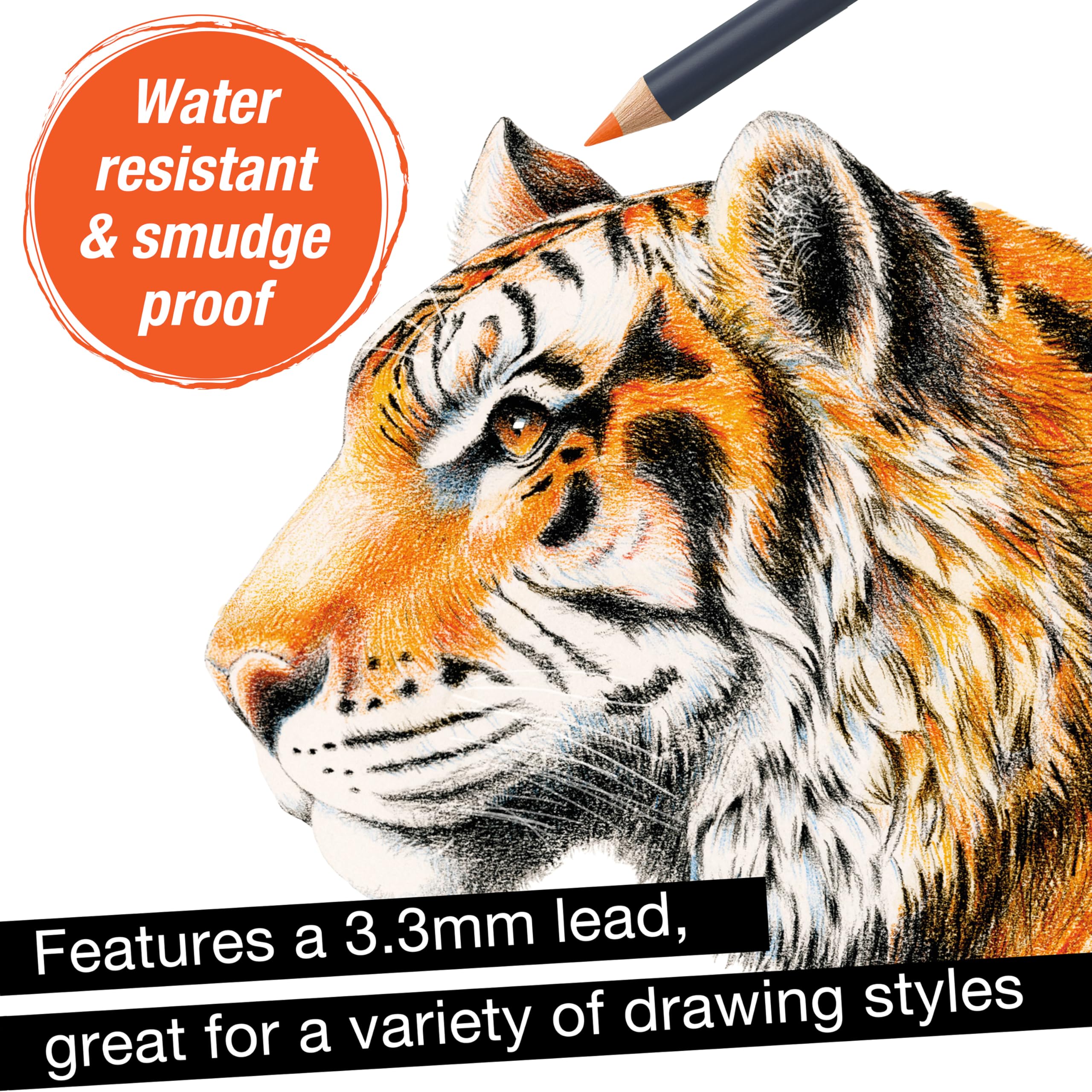 Faber-Castell Goldfaber Color Pencils: Professional Colored Pencils with Smooth Laydown, Rich Pigment, Break-Resistant Cores, Great for Beginners, Hobbyists & Adult Coloring (24 Count) - Image 4