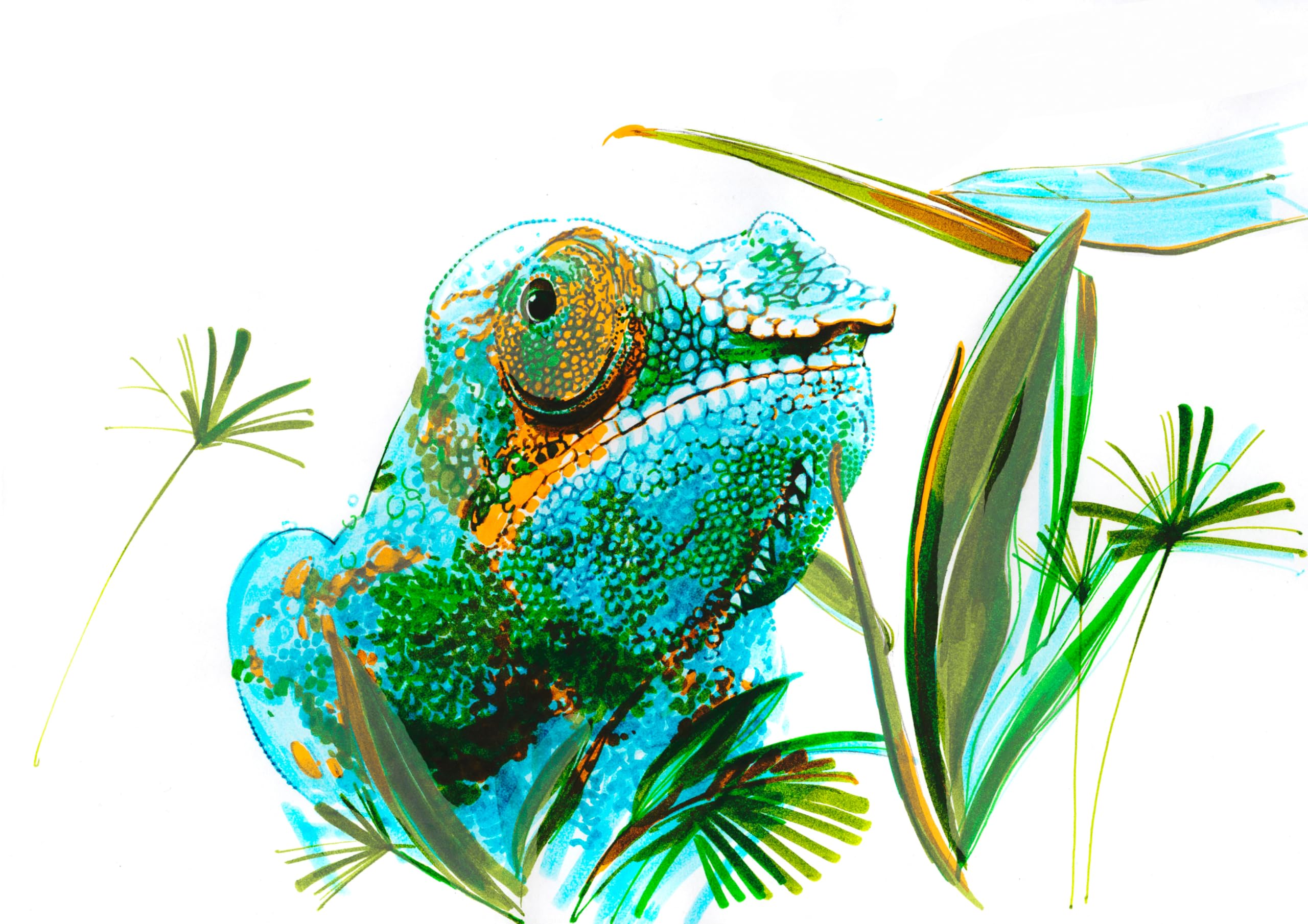 Faber-Castell Pitt Artist Pen Dual Marker, Animals Wallet of 5, Coloured Marker Pens, Drawing, Home Office, Art, Colouring - Image 5