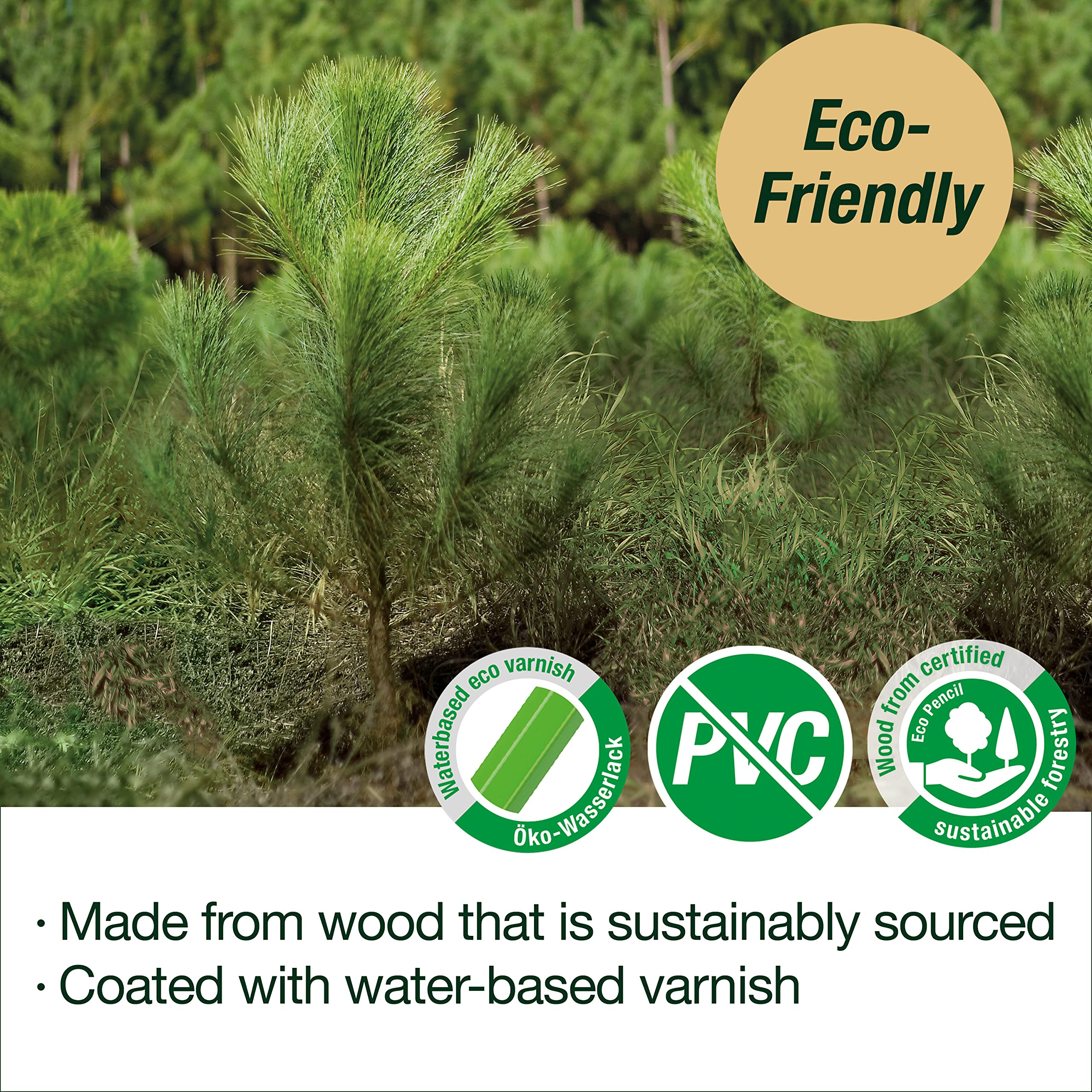 Faber-Castell Sketching and Accessories Set - Castell 9000 Graphite Pencils and Eraser Pencils - Art Pencils for Drawing and Shading - Image 6