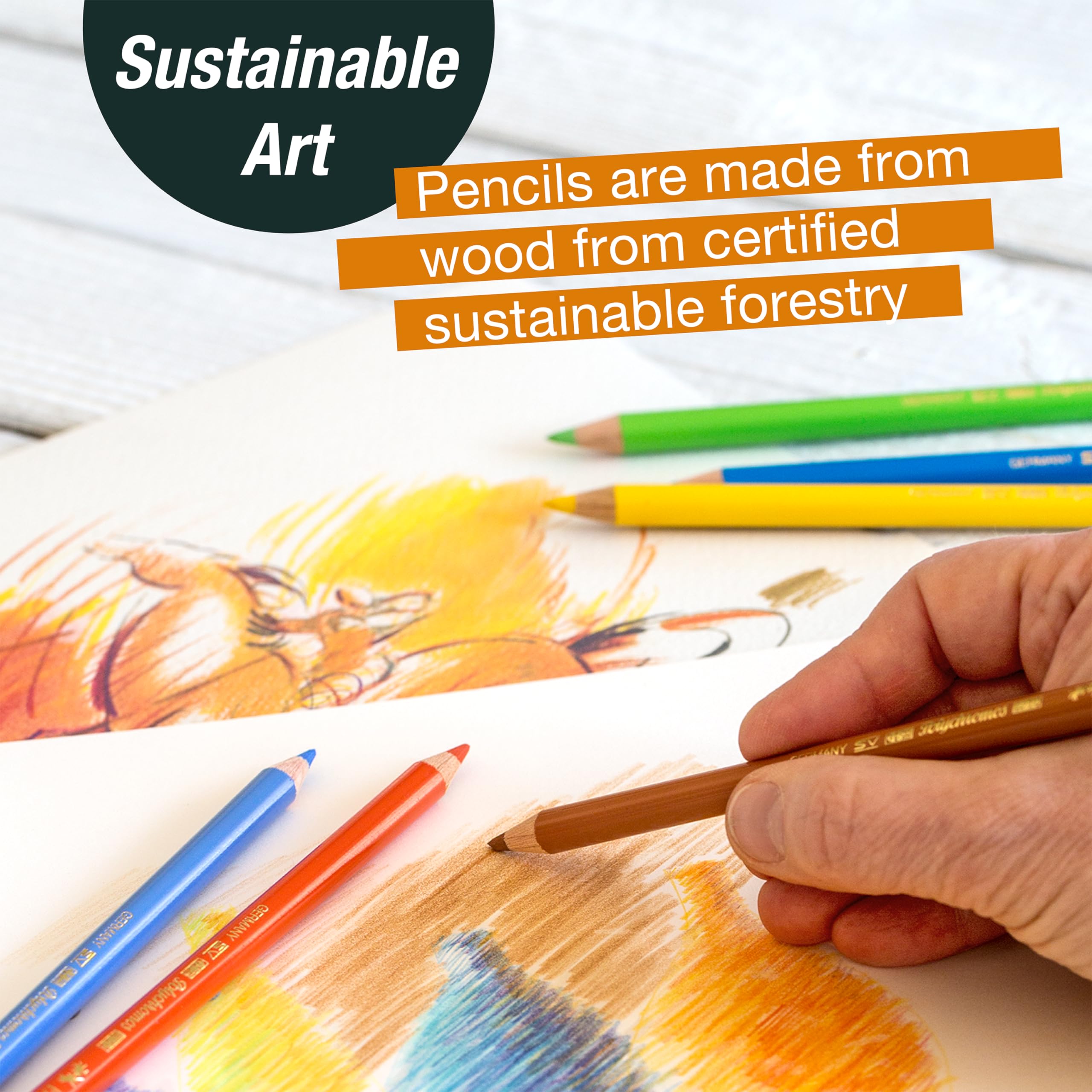 Faber-Castell Try It Box: Dry Mediums - 17 Piece Sketching Drawing Art Set with featuring Colored Pencils, Graphite Pencils, Charcoal Pencils, Pitt Artist Pen and Art Tools - Image 9